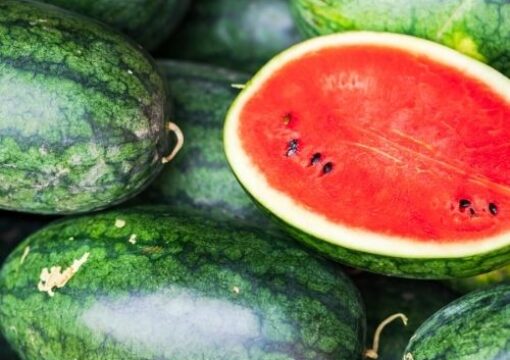 Frutta e verdura estiva: conoscere la stagionalità per acquistare prodotti freschi.