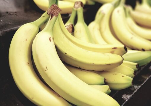 La Banana: Coltivazione, Trasporto e Conservazione di un Frutto Straordinario