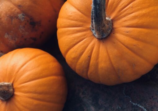 Scopri i Segreti della Zucca: Versatilità e Salute